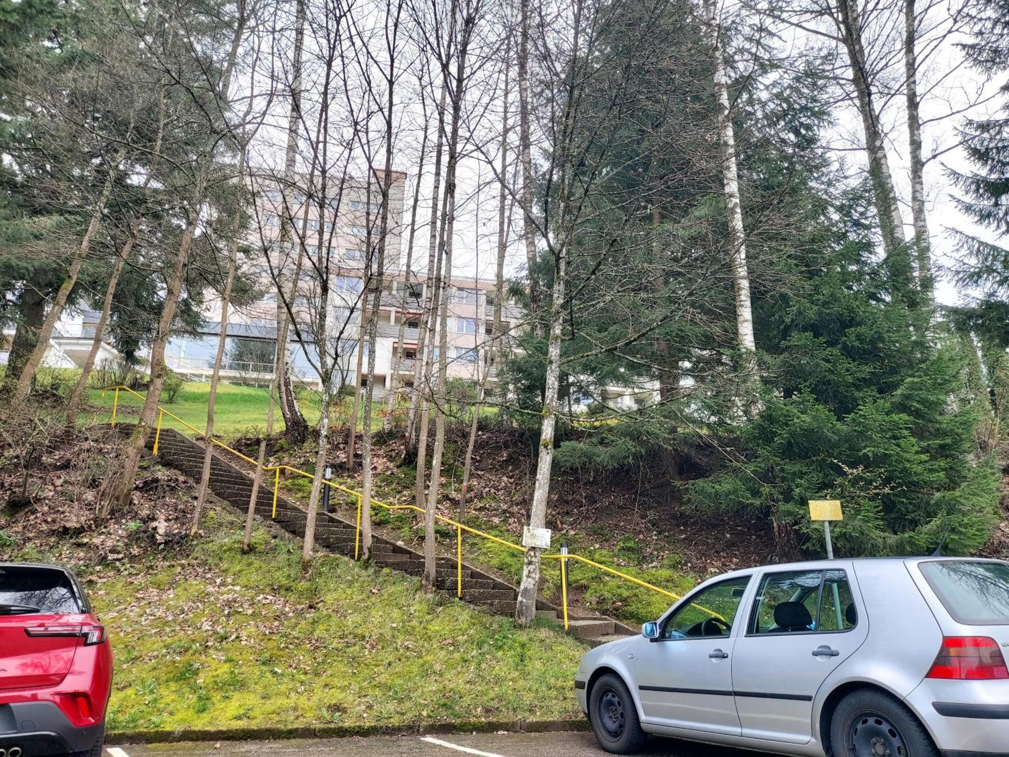 Fewo Mit Pool In Baiersbronn Διαμέρισμα Εξωτερικό φωτογραφία